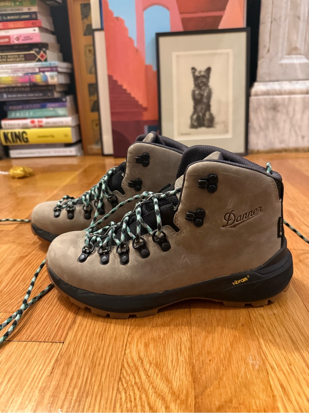 NWB Danner Women’s Mountain 600 EVO